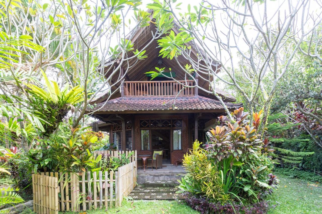 Bali Firefly Bnb Ubud  Ngoại thất bức ảnh