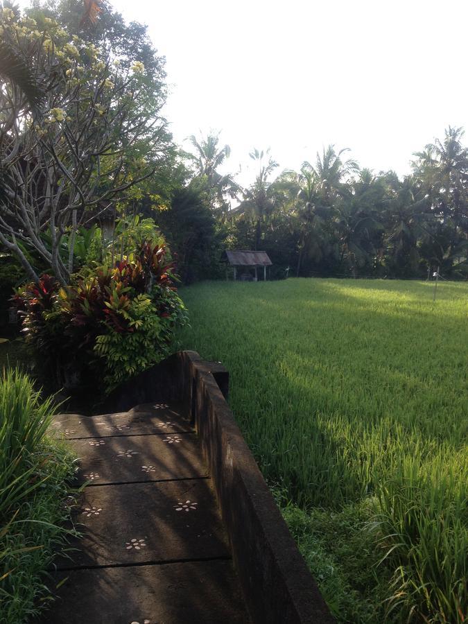 Bali Firefly Bnb Ubud  Ngoại thất bức ảnh