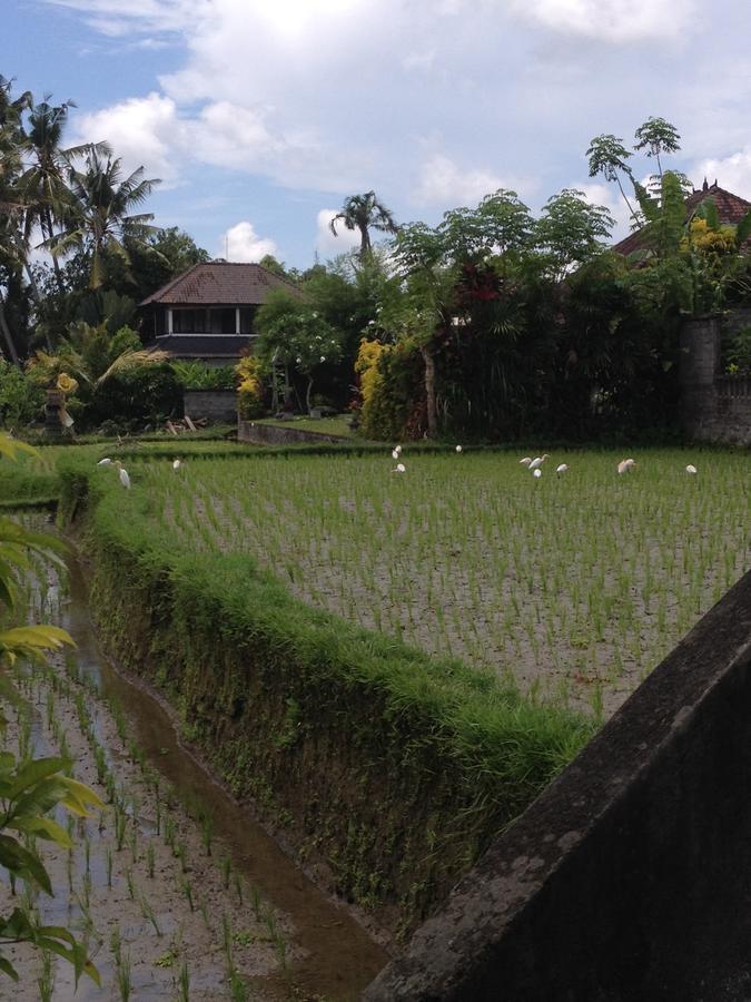 Bali Firefly Bnb Ubud  Ngoại thất bức ảnh